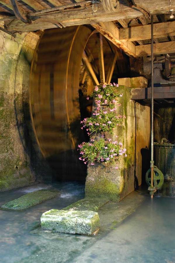 Moulin De La Fleuristerie Acomodação com café da manhã Orges Exterior foto